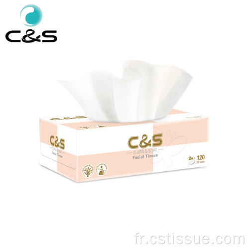 2 pli 120 feuilles de tissu facial